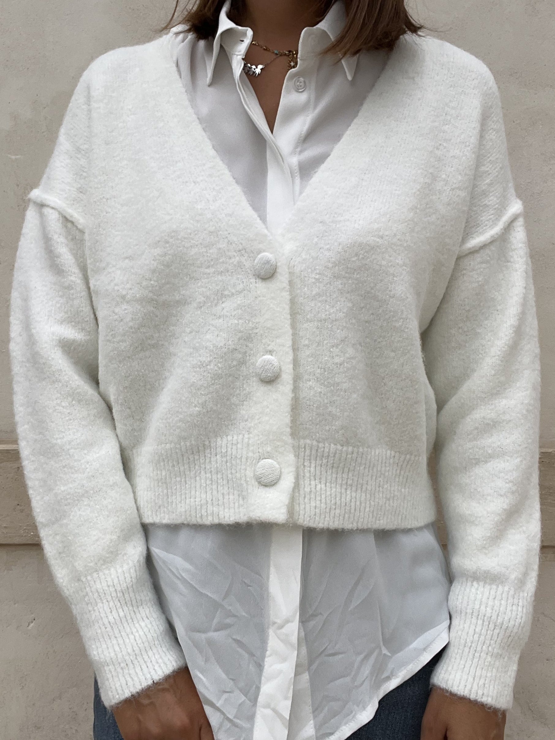 CARDIGAN ALPACA